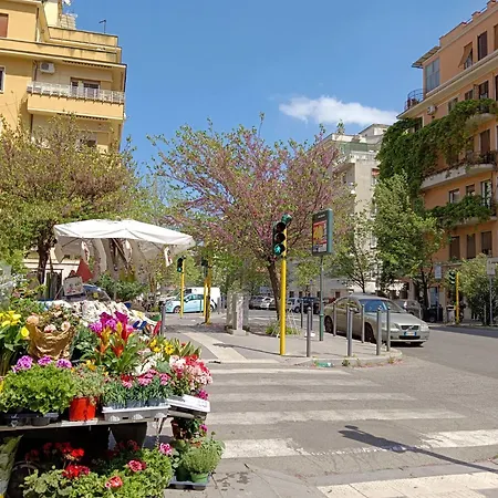Livorno By Halldis Rome