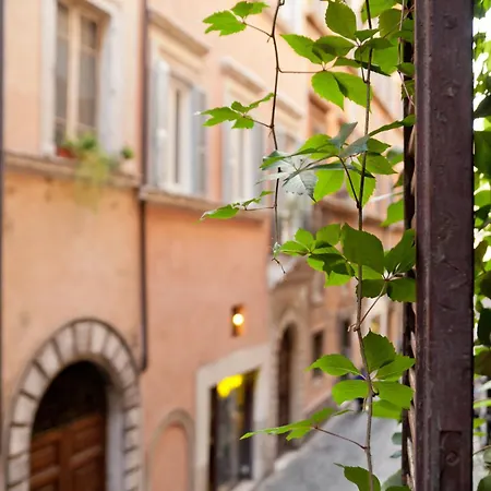 Pensionat Baldassini Rom