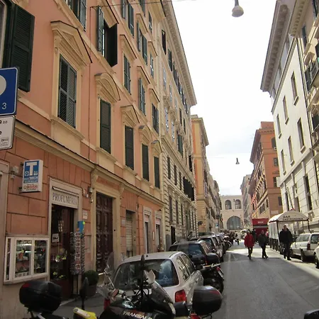 Evergreen Roma