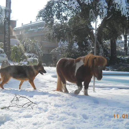 Relais La Canfora Rome