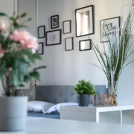 Apartment Cozy Campo De Fiori Rome