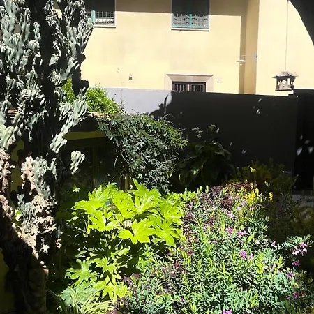 Appartamento Loquat House Nel Giardino Segreto In Zona Vaticano Roma