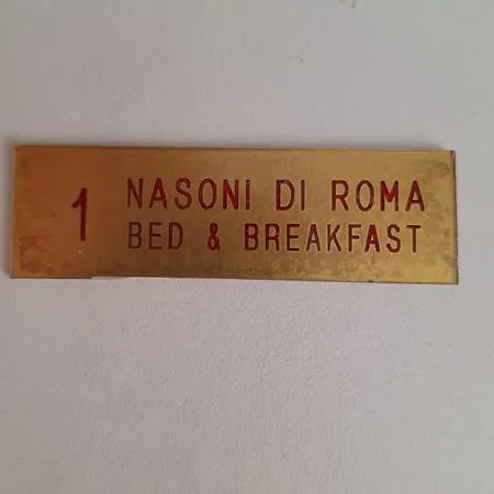 Aparthotel Nasoni Di