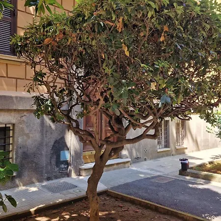 Apartment Borghese Magnolia Rome