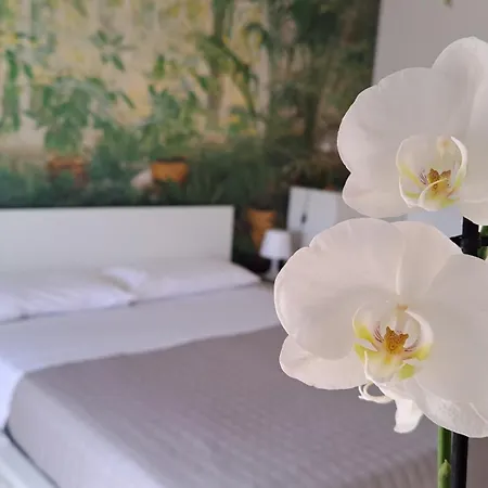 Apartment Citta Giardino Rome