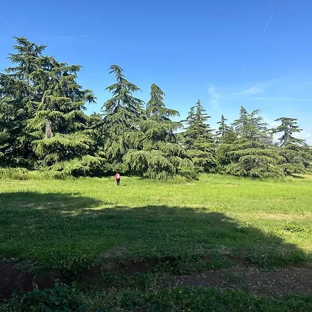 Olimpia Pamphili - Centro Storico Di - Gianicolo Trastevere San Pietro