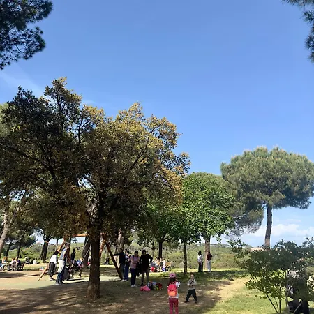 Appartamento Olimpia Pamphili - Centro Storico Di - Gianicolo Trastevere San Pietro Roma