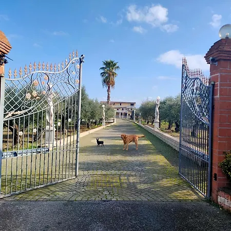 Apartment Giona