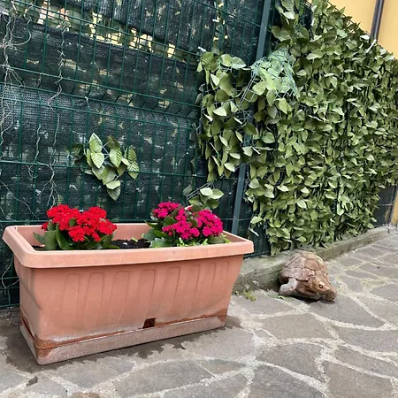 Appiolatino - Il Fenicottero * Рим