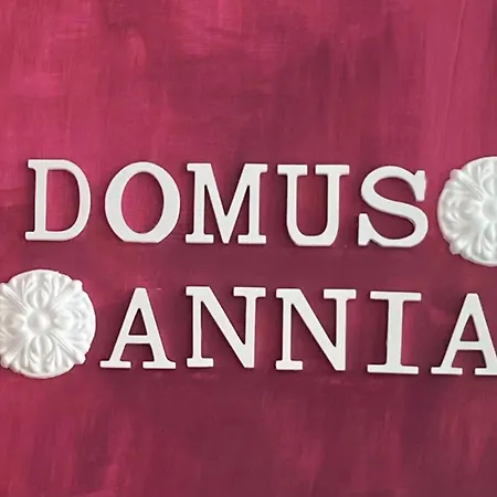 Domus Annia Guest House, The Amazing Colosseum