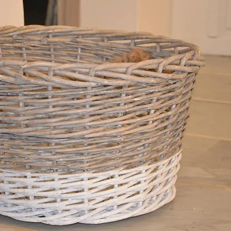 Shabby Chic