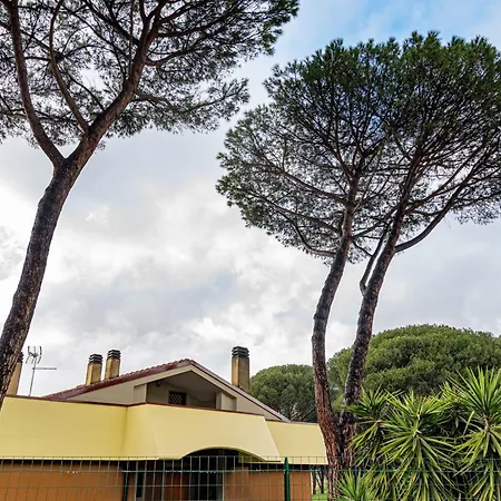Pamphili Garden Apartment *