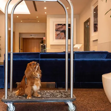 Hotel Western President - Colosseo Řím
