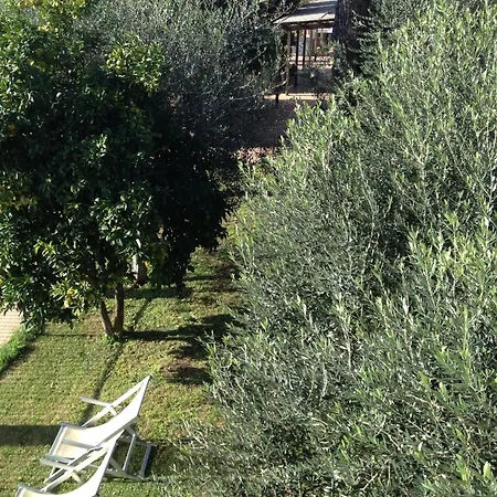 Tempio Di Apollo Hotel Rzym