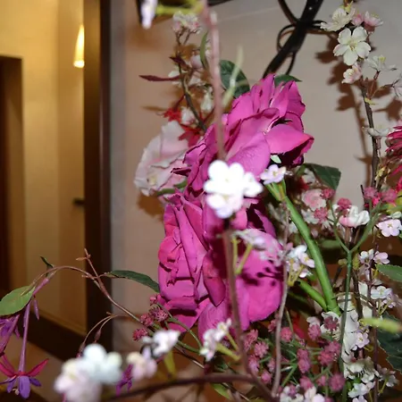 Bye Guest house Rome