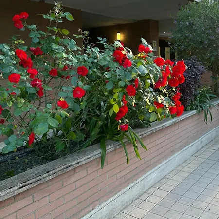 Flaminia Apartment