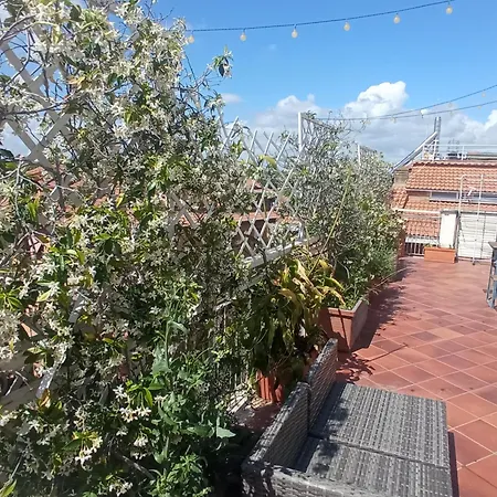 Rooftop Appia Antica,silenzioso Riservato Two Bedrooms Two Bathrooms Apartment