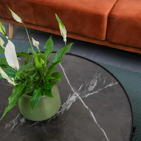 Piazza Cavour Zen Garden-zen36 Appartamento *