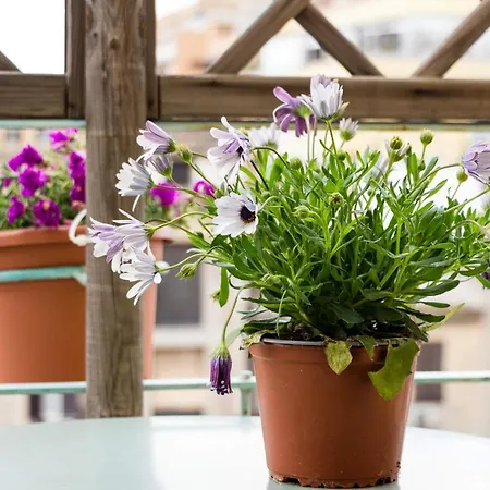 Pensionat Torripa Group - Prati 3*