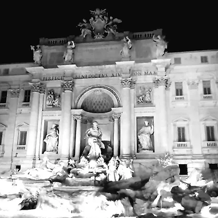 My Trevi 88