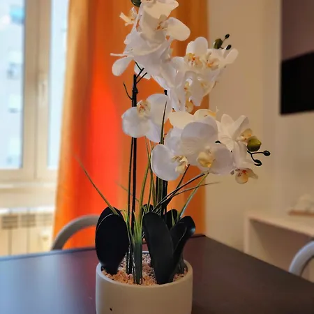 Casa Marconi Roma