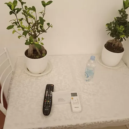 Guest house Star Rome