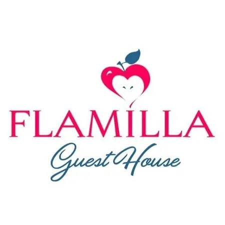 Flamilla Next To Vatican Museums Apartment Rome