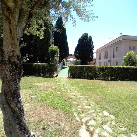 La Dimora Del Gallo Appartamento Roma