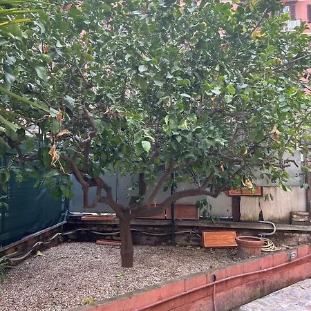 Morgana Holiday home Rome
