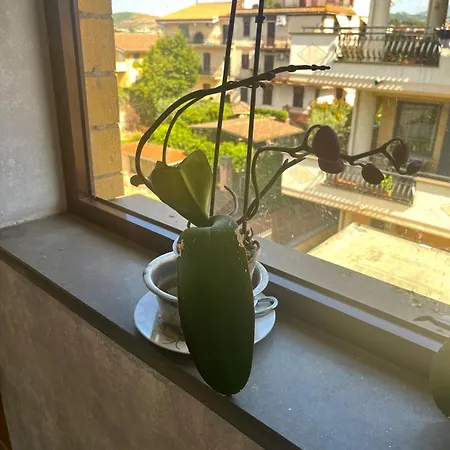 Al Capolinea * ローマ