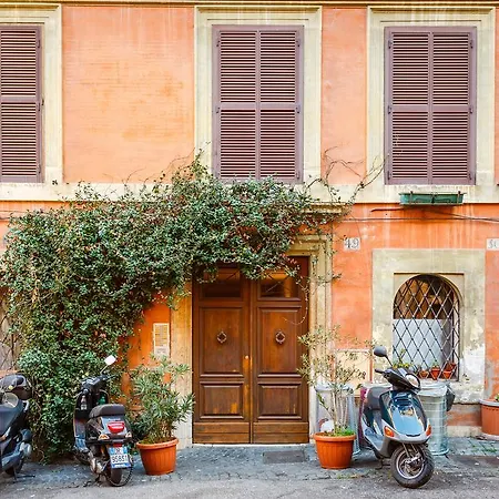 As Feel - Selci Roma