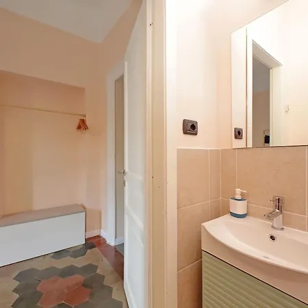 Colosseo Kokedama Bed & Breakfast Rome