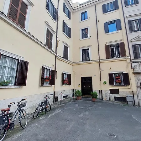 Colosseo Kokedama Bed & Breakfast