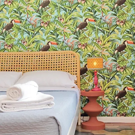 Colosseo Kokedama Bed & Breakfast Rome