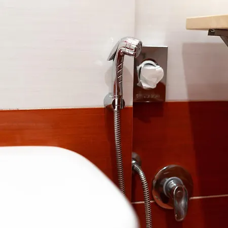 Bed & Breakfast Domus Premuda Rome