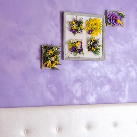 Bed & Breakfast Domus Premuda Rome