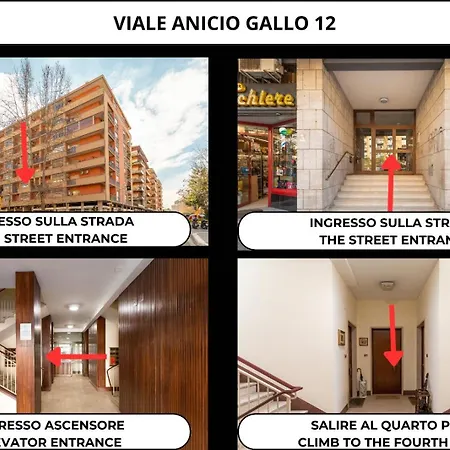 Loto Rome