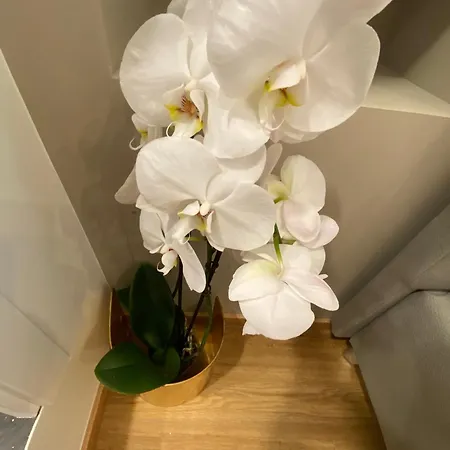 Guest house De Vince - Luxury - Termini Rome