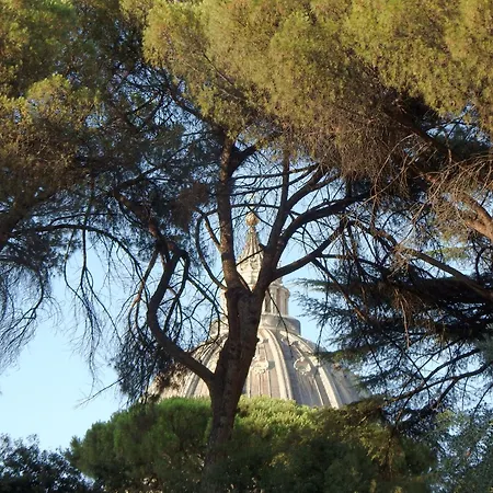 Meraviglia A San Pietro Cupolhome Da Flavio *