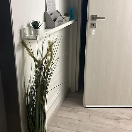 Carpe Diem Adult Only Apartment Rom