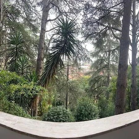 Apartment Eur Trepini Luxury Loft *