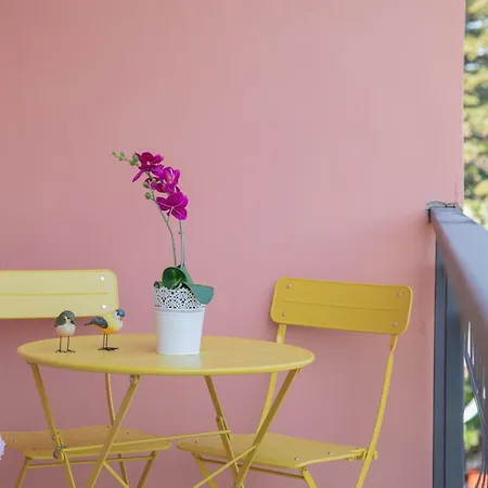 Sweet Rome-tor Vergata Apartment