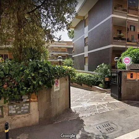Le Tue Notti A San Pietro Rome