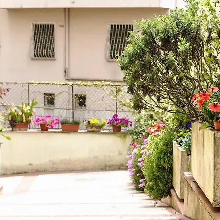 Alchimia Rome