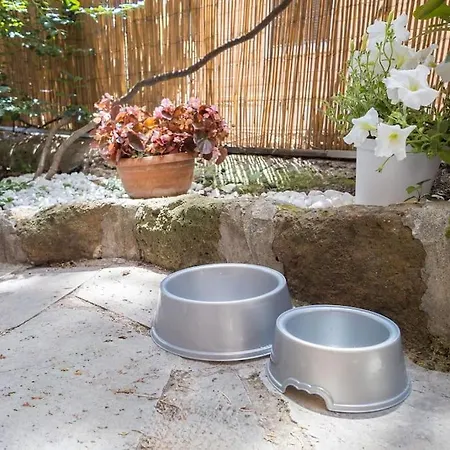 Appartamento Poerio Home&garden Near The Centre Of *
