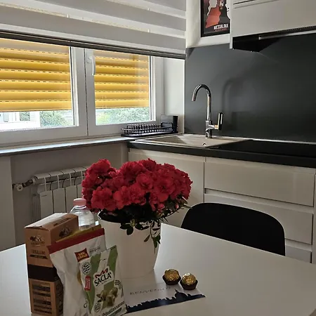 Eur Vista Fattori Apartment *