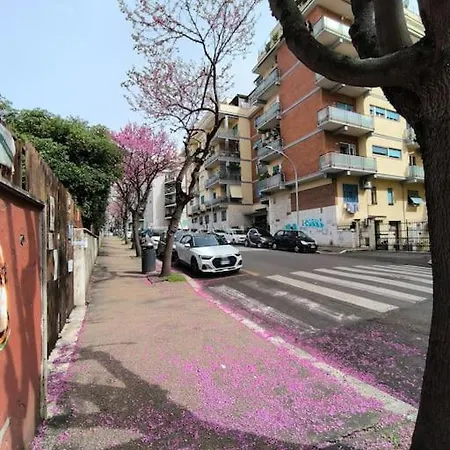 New And Beautiful House In The Heart Of *
