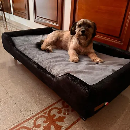Giancarla Luxury In San Lorenzo - Termini