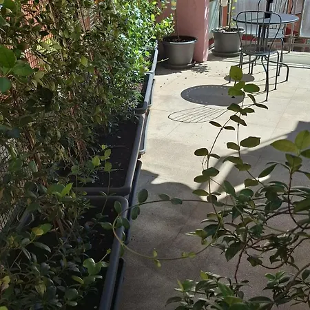Aparthotel Nasoni Di *