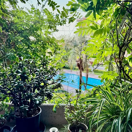 Apartment Flaminia *